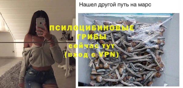 молекула духа Куйбышев